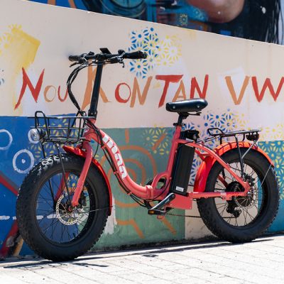 Vélos électriques Francine - Journée