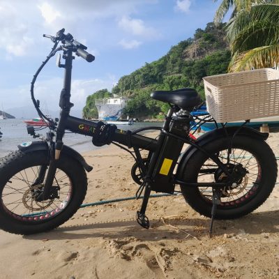 Vélos électriques Marc - Journée